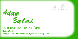 adam balai business card