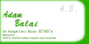 adam balai business card